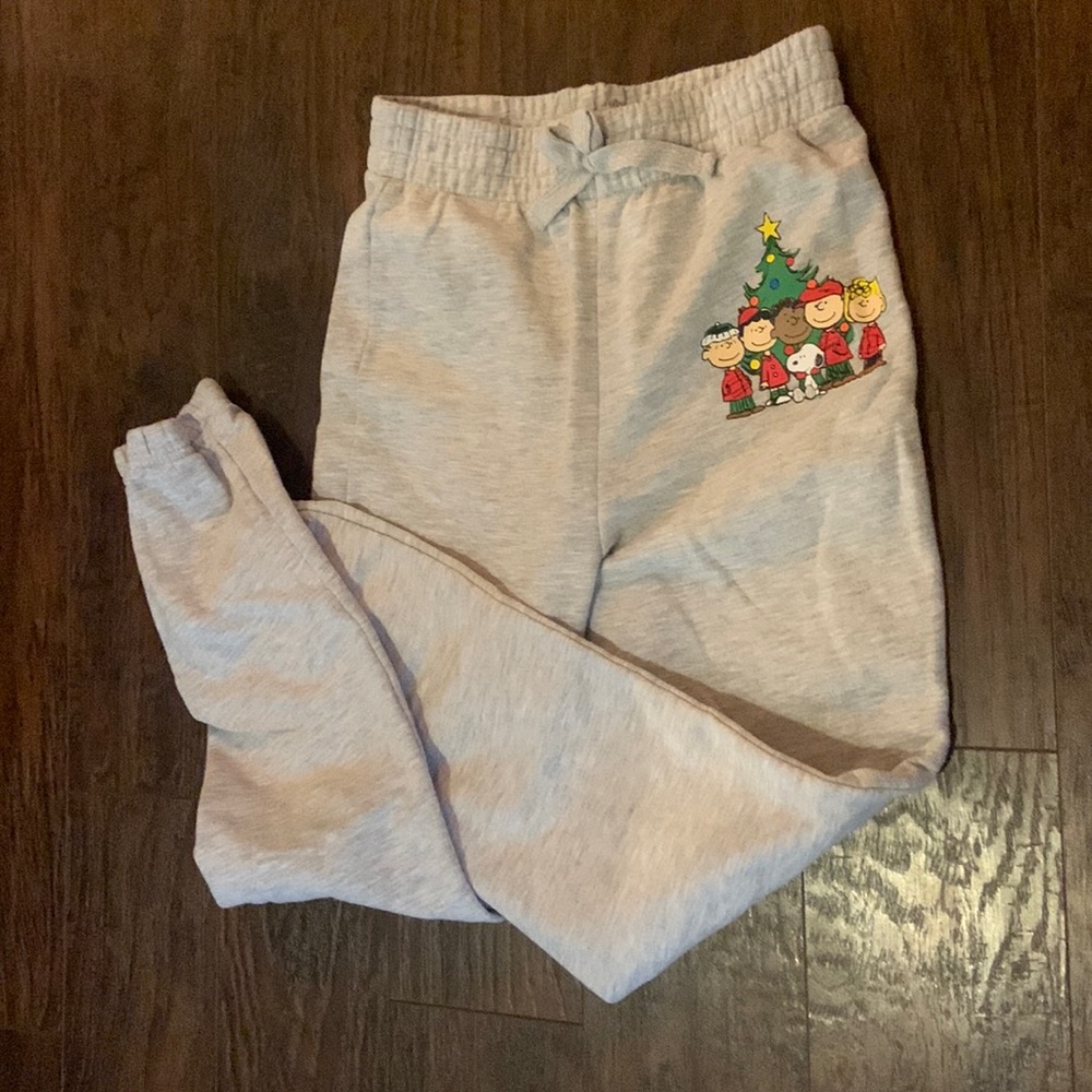 Kids gray Peanuts sweatpants. Size childrens L.